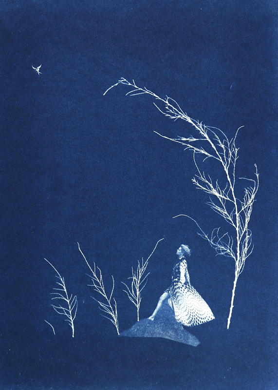 Moon Cyanotype (blue moon) — AGENT GALLERY CHICAGO